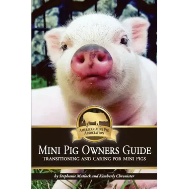 Mini Pig Owners Guide: Transitioning and Caring for Mini Pigs