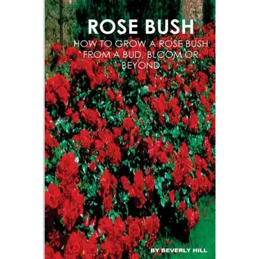Rose Bush: Learn How To Grow A Rose Bush From A Bud, Bloom or Beyond
