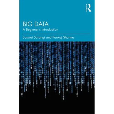 Big Data: A Beginner's Introduction