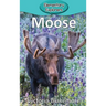 Moose