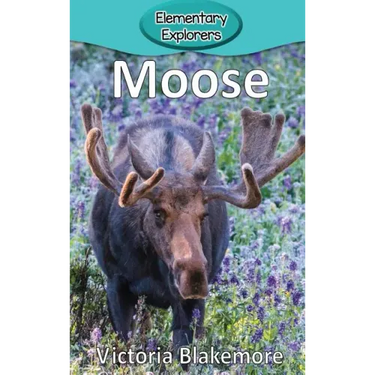 Moose