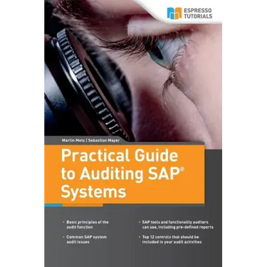 Practical Guide to Auditing SAP Systems