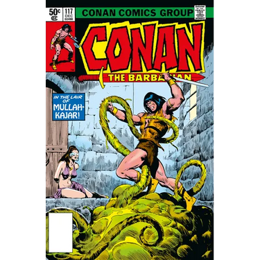 Conan the Barbarian: The Original Comics Omnibus Vol.5