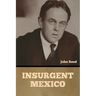 Insurgent Mexico