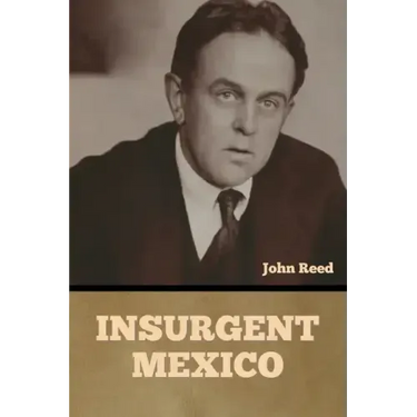 Insurgent Mexico