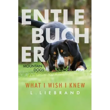 Entlebucher Mountain Dogs - What I Wish I Knew