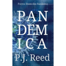 Pandemica