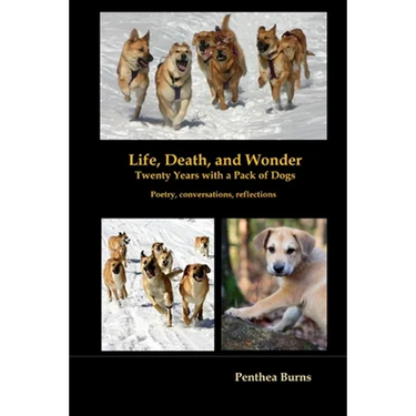 Life, Death, and Wonder Twenty Years with a Pack of Dogs