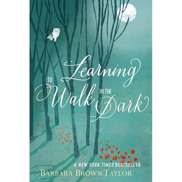 Learning to Walk in the Dark: Because Sometimes God Shows Up at Night
