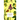 The Informed Gardener