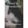 Weird Is Wonderful: Exploring Intuition, Spiritual Awareness, Animal Communication and Reiki Through the Eyes of an Intuitive Animal Empat