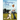 Shaping Your Dog: The Positive Way