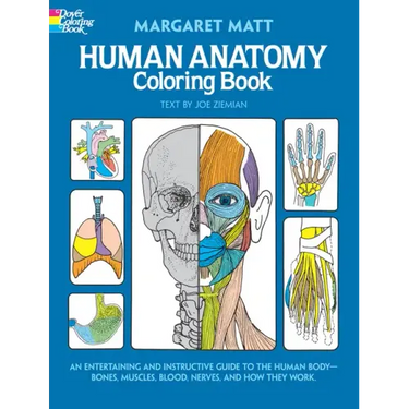 Human Anatomy Coloring Book