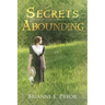 Secrets Abounding: The Unforgotten Past: The Continuing Story