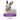 Netherland Dwarf Rabbits: Netherland Dwarf Rabbit Breeding, Buying, Care, Cost, Keeping, Health, Supplies, Food, Rescue and More Included! The U