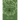 Daily Druid Self-Care Journal