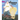 The Beginning of Lies: Book 1