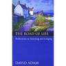 The Road of Life: Reflections on Searching and Longing