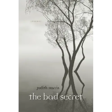 Bad Secret: Poems