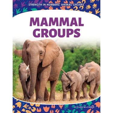 Mammal Groups