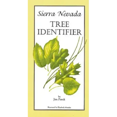 Sierra Nevada Tree Identifier