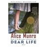 Dear Life: Stories