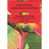 Poinsettia.Chistmas Flower: Complete guide for its choice, location and care