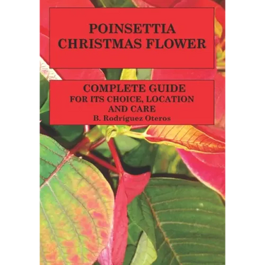 Poinsettia.Chistmas Flower: Complete guide for its choice, location and care