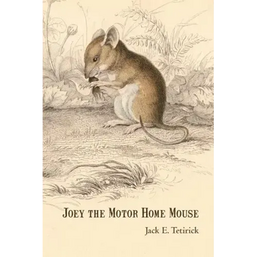 Joey the Motor Home Mouse