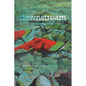 Downstream: Reimagining Water