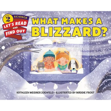 What Makes a Blizzard?