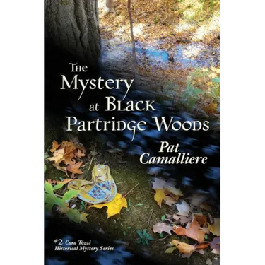 The Mystery at Black Partridge Woods