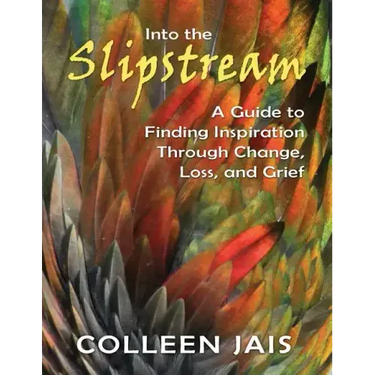 Into the Slipstream: A Guide to Finding Inspiration Through Change, Loss, and Grief