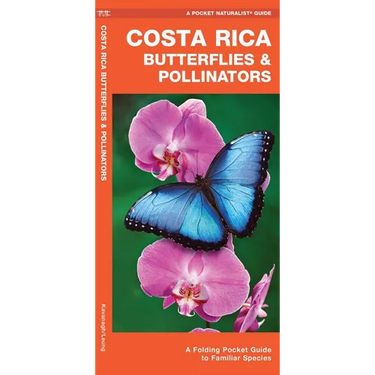 Costa Rica Butterflies & Pollinators: A Folding Pocket Guide to Familiar Species