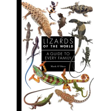 Lizards of the World: A Guide to Every Family