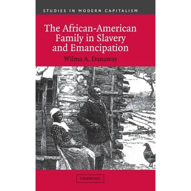 The African-American Family in Slavery and Emancipation