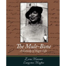 The Mule-Bone