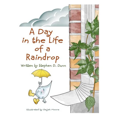 A Day In The Life Of A Raindrop