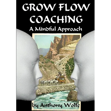 GROW FLOW Coaching