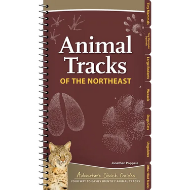 Animal Tracks of the Northeast: Your Way to Easily Identify Animal Tracks