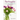 Flower Arranging Guide For Beginners: Every Season Arrangements And Designing Made Simple