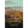 How Culhwch Won Olwen: A verse translation of the oldest Arthurian story