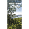 Pennsylvania Trees & Wildflowers: A Folding Pocket Guide to Familiar Plants