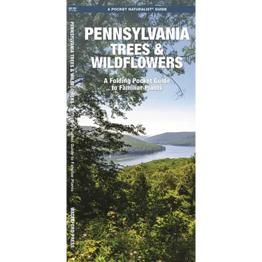 Pennsylvania Trees & Wildflowers: A Folding Pocket Guide to Familiar Plants