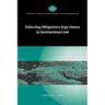 Enforcing Obligations Erga Omnes in International Law