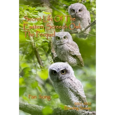 Secret Life of the Eastern Screech Owl - The Prequel: Breeding Season 2021-2022
