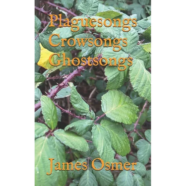 Plaguesongs Crowsongs Ghostsongs