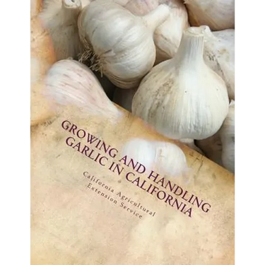 Growing and Handling Garlic in California: Circular 84