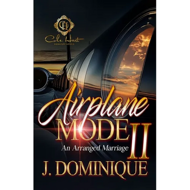 Airplane Mode 2: An Arranged Marriage