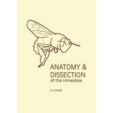 Anatomy and Dissection of the Honeybee